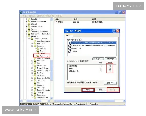 凯发网娱乐下载流程详解，轻松掌握快速注册与登录技巧